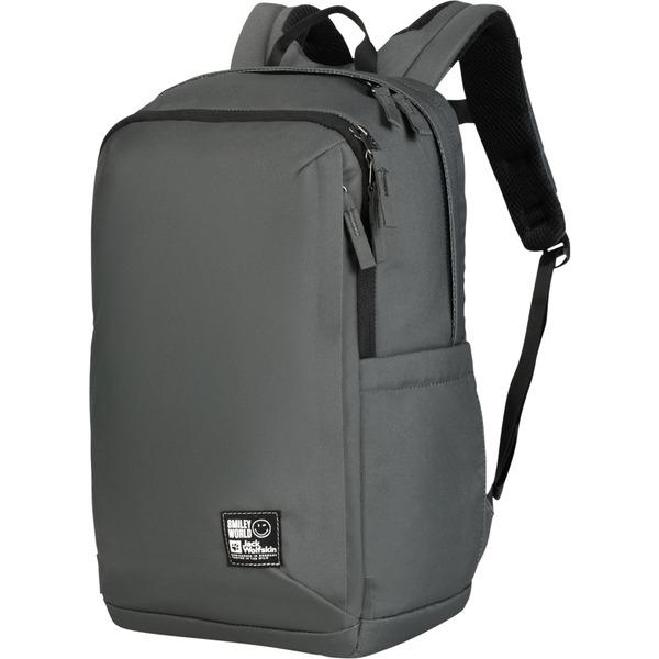 Jack Wolfskin SMILEYWORLD BACKPACK, Rucksack (grüngrau, 22 Liter)